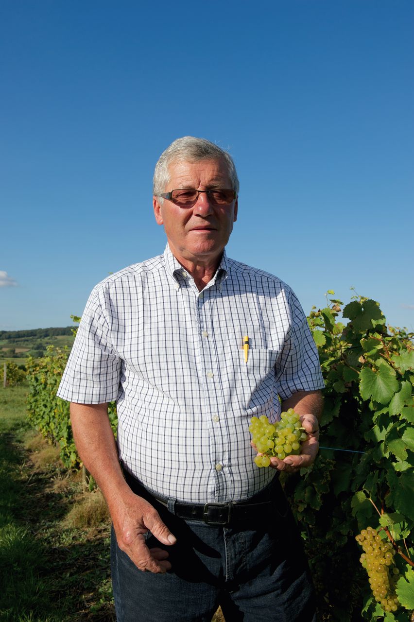 Vins Vigneron Pierre Rolet portraitPR-1